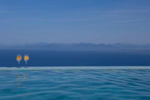 Seaview Lefkada Villa Villa Ianthi Stunning Infinity Pool Tsoukalades Lefkada Greece