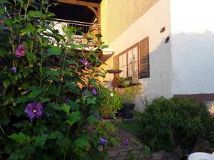 Haus Sonnenblick