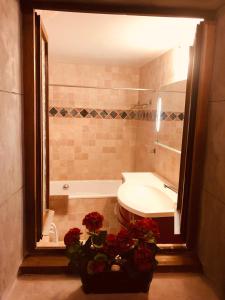 Appartements Lodges du Canal St-Dominique : photos des chambres