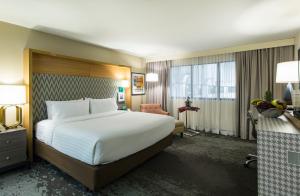 Premium King Room room in Holiday Inn Chicago North Shore an IHG Hotel