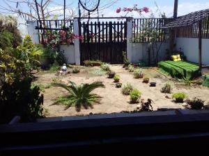 Jeri Visual Residence