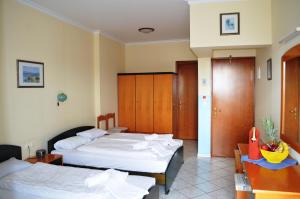 Hotel Europe Inn Olympos Greece