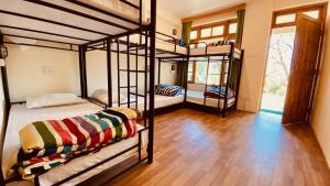 Madpackers Manali