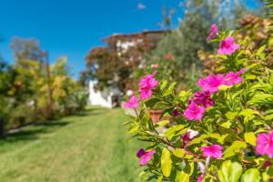 Blooming Memories Halkidiki Greece