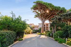 Appart'hotels Residence Pierre & Vacances La Pinede : photos des chambres