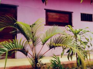 Casa Trancoso