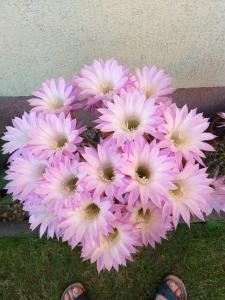 Ferienwohnung Bärbel, Fewo Bärbel