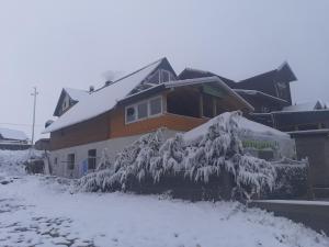 Apartments Igor