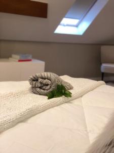 Apartamento de Cobertura Frente ao Lago