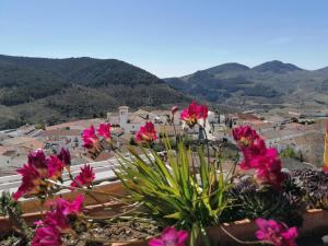 Balcón del Velillos-"Rincón de Marcelo"