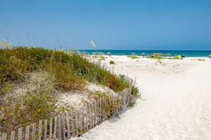 Ocean and Racquet #3116