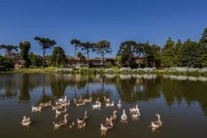 卡内拉大酒店 - 卡内拉