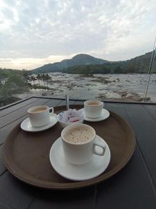 The Anchorage Athirapilly Resort