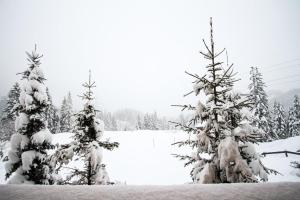 Chalet Königsleiten 174