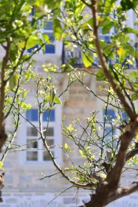 Habit Syros Greece