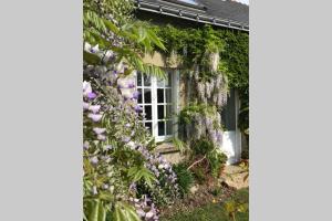 Maisons de vacances Walnut Tree Gite Brittany : Maison 4 Chambres