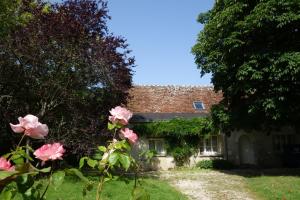 Maisons de vacances Domaine de l'Augeonniere : photos des chambres