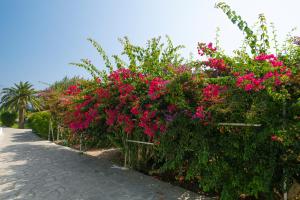 Stella Bay Rooms Samos Greece