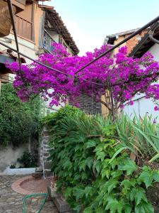 Lanzaroco, tu casa en La Vera