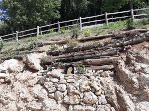 Staulir Affittacamere