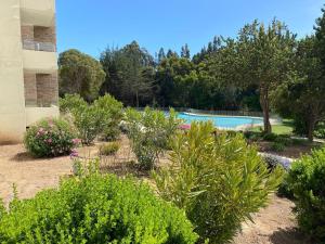 Departamento Papudo Playa Piscina