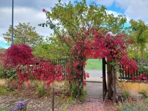 Stilvolles Ferienhaus Artdeco