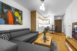 Emihouse Apartamenty Kopisto