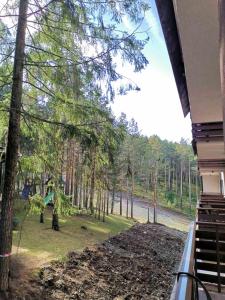 Apartman Central lux u Vili Pekovic green