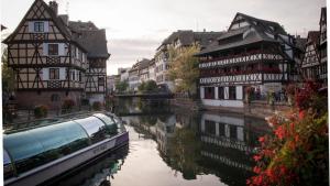 Appartements Gite Terredhelene calme et nature, proche Strasbourg et tous commerces : photos des chambres