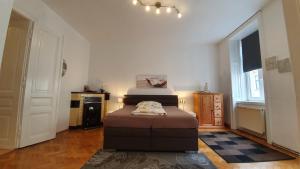 Gorgeous Viennese Apartment 10 min to City Center