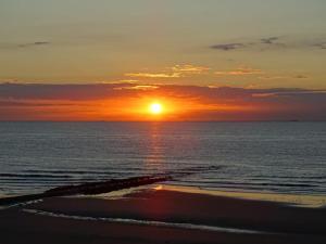 Modern studio direct Seaview & free parking