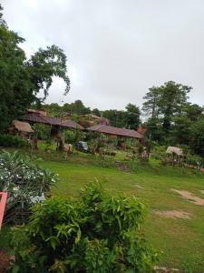 ภูเรือวิว รีสอร์ท