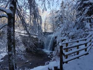 Le Jura en toutes saisons Piscine, SPA, location VTT, balades 2cv, climatisation