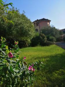 Locanda Tipica Sa Corte img79