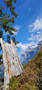 Ferienwohnung Ankerplatz