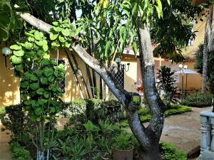 Condominio El Portal Casa 3