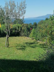 Apartment The View Costabella