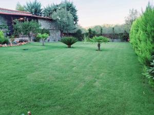 Dimitris Villas - villa 4