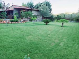 dimitris villas - villa 1