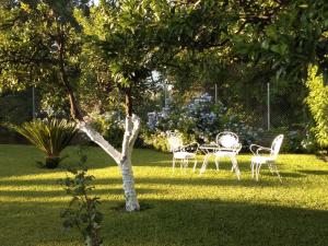 Casa MaLu Boutique Apartments - No 2 Corfu Greece