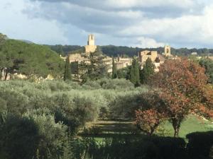 Appartements Lourmarin,Domaine de Casteuse Appartement LES OLIVIERS : photos des chambres