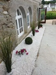 Ty Keramor - Kerascoet