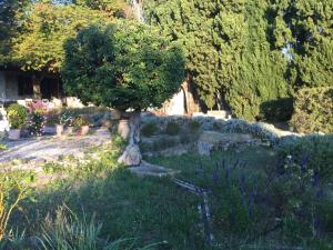 Appartements Lourmarin,Domaine de Casteuse Appartement LES OLIVIERS : photos des chambres