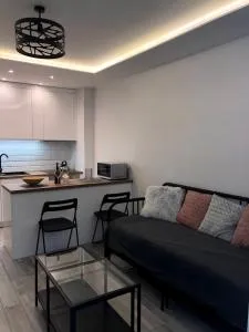 Downtown Apartment - 伊诺弗罗茨瓦夫