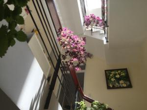 Pretty Backpackers House