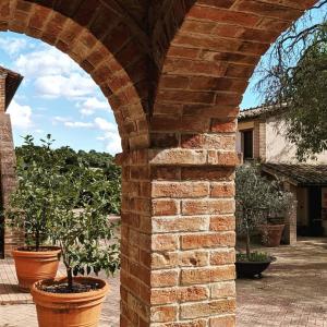 La Fonte Di Montebuono