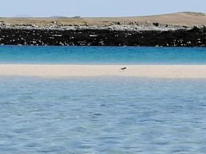 The Fishermans Snug self catering North Uist