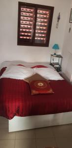 Branca Gonçalves Belmonte