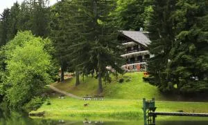 Hotel Trayal - 弗尔尼亚奇卡矿泉镇