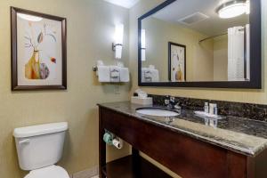 Queen Suite with Two Queen Beds - Non-Smoking room in Comfort Suites Knoxville West - Farragut